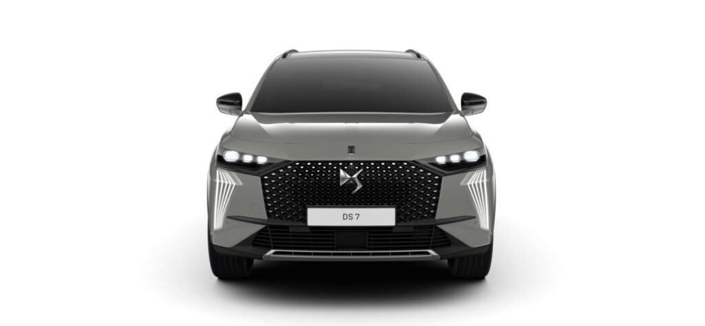 Renting DS7 detalle 2