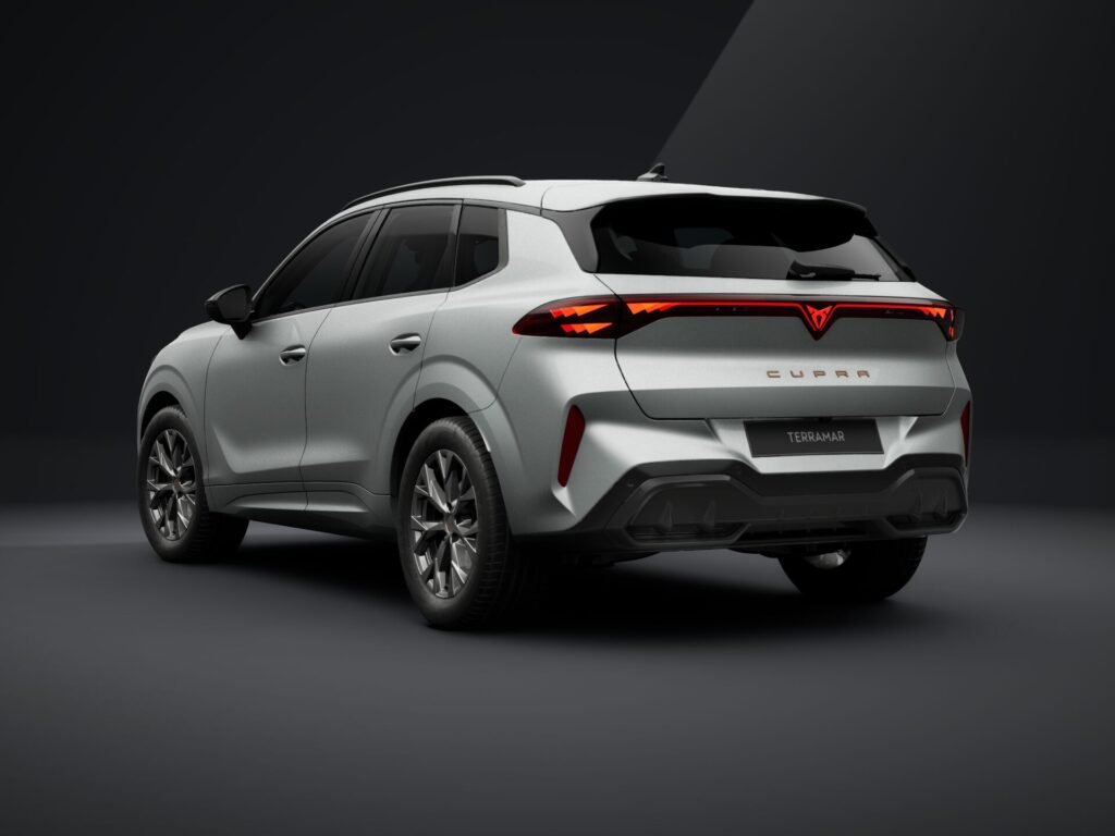 Renting Cupra Terramar detalle 3