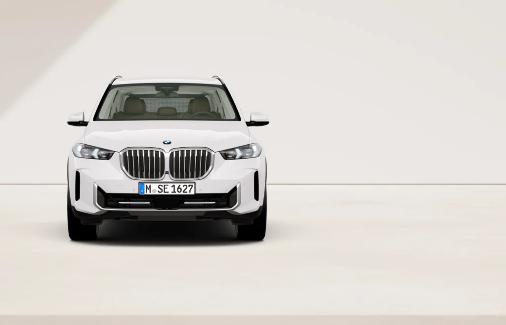 Renting BMW X5 detalle 2